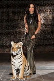 Layla Sin - Easy Tiger -o46t6pekkm.jpg