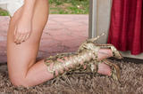 Charlyse Angel - Nudism 3 15c0ohlc22
